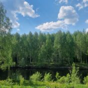 Kohteen Honkarakenteen pyöröhirsimökki lisäkuva 1