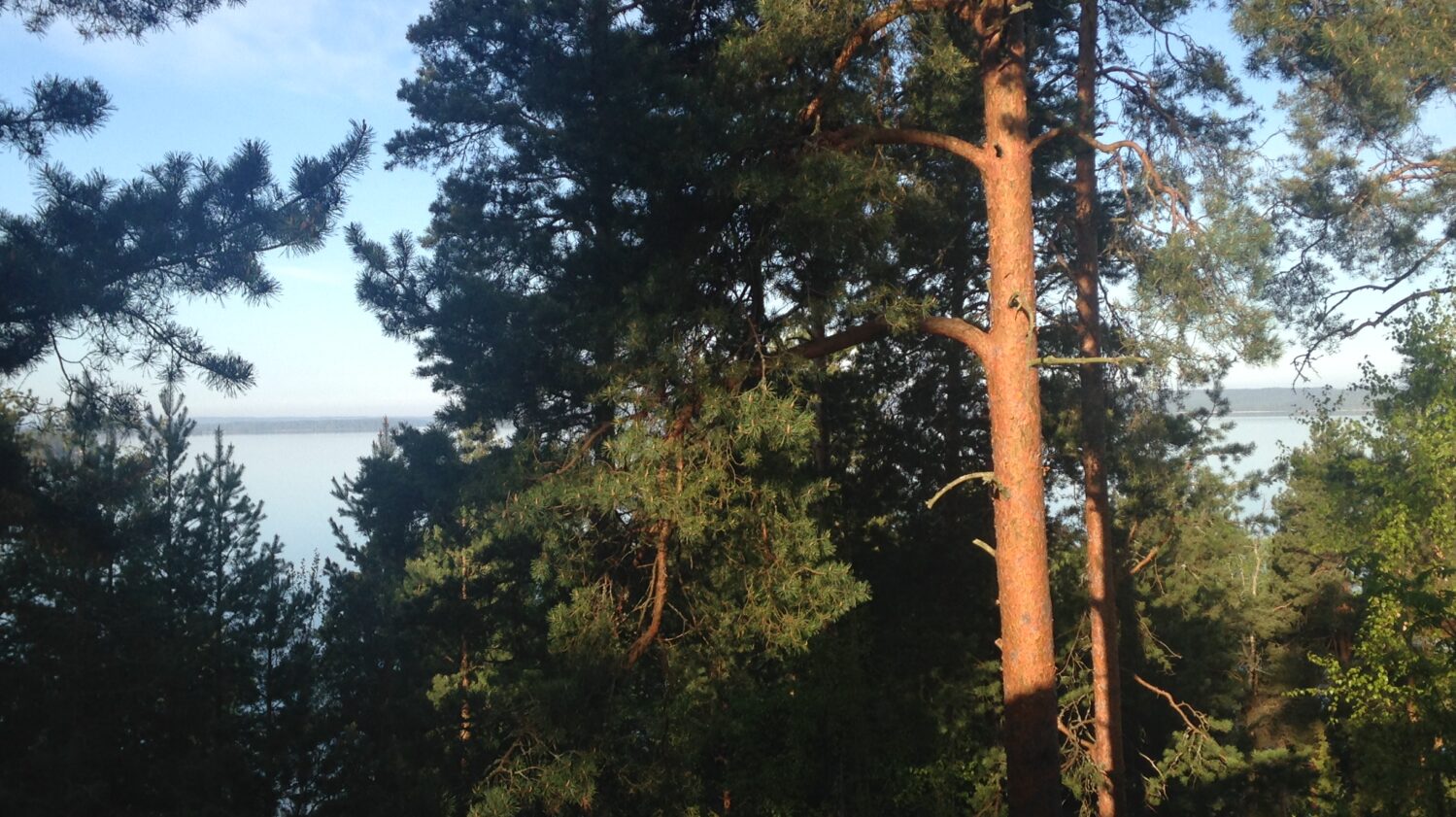 Kohteen Etsitään perhekotia järvinäköalalla pääkuva