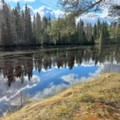 Kohteen Hyväkuntoinen jokirantamökki omalla tontilla. lisäkuva 8