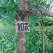 Kohteen Myydään OKT Vartioharjusta Viikingintie 10a purkukuntoinen lisäkuva 4